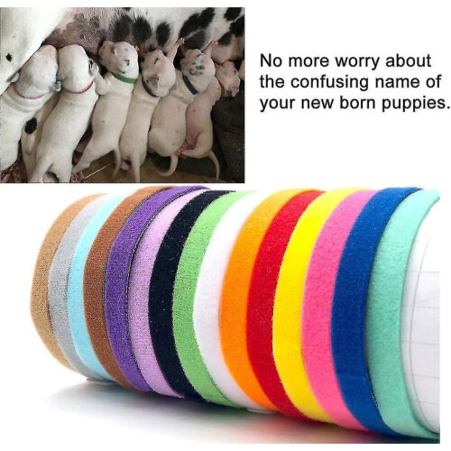 Collier d'identification pour chien, collier d'identification pour chiot, colliers pour chiots, collier 2