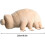 Cute Microscopic Tardigrade Plush - Educational Soft Doll for Curious Young Minds 4