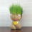 Grass Head Doll, Big Eyes, Cute Boy, Big Flat Head, Medium Size Grass Doll, Grass Planting, Creative 3