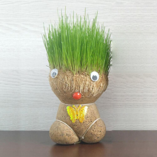 Grass Head Doll, Big Eyes, Cute Boy, Big Flat Head, Medium Size Grass Doll, Grass Planting, Creative 2