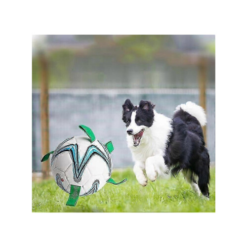 Interactief hondenspeelgoed met voetbalbal 2