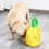 Pet Dog Pineapple Design Stuffing Squeaky Plush Feeding Training Interactive Toy 4