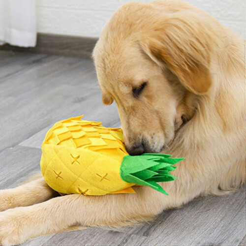 Pet Dog Pineapple Design Stuffing Squeaky Plush Feeding Training Interactive Toy 2