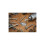 Set Of 50 Diamond Burs For Rotary Tool, Grit 40 2