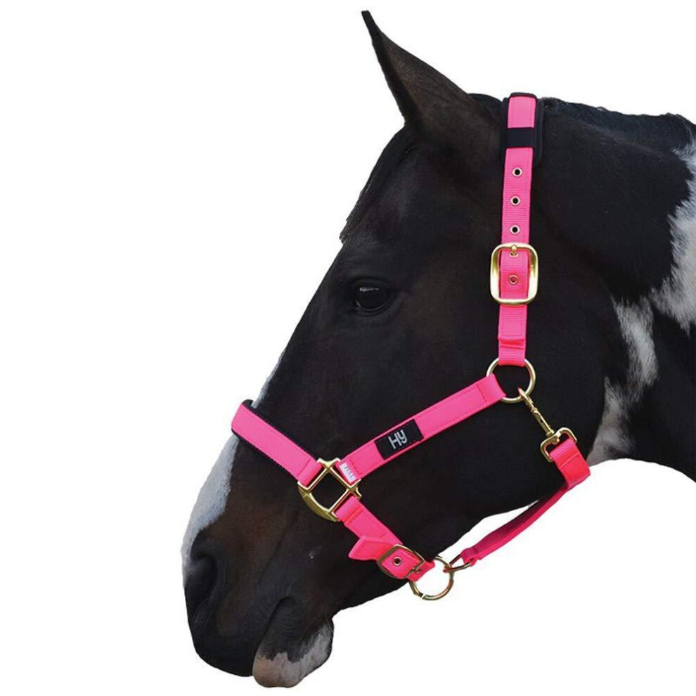 Photos - Equestrianism Hy Deluxe Padded Head Collar(XL, Hot Pink)