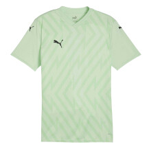 (M, Fresh Mint/Black) Puma Mens Teamglory Chevron T-Shirt