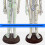 Human Acupoint Model Male Female with Numbered Points 6