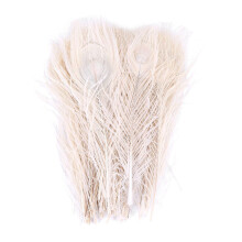 50 plumes de paon blanches naturelles pour les yeux, de 25 Ă 30 cm de long, pour mariage.