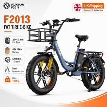 Flyrun 250W 48V13AH 20INCH City ElectricBike 25MPH
