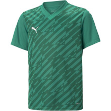 (9-10 Years, Pepper Green) Puma Childrens/Kids TeamULTIMATE T-Shirt