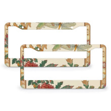 Dragonfly License Plate Cover Set Metal Frame 2 pcs
