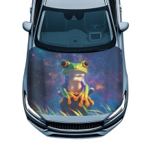 Galaxy Hippie Frog Car Hood Cover Waterproof Polyester