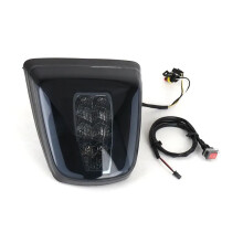 Motorcycle LED Taillight Rear Brake Light for SPRINT PRIMAVERA 125 150 Sprint Primavera 150 125 Sprint 150