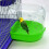 Parrot Bath Box for Small Birds Including Parakeets and 3