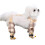 Dog Leg Cover Water Resistant Breathable Memory Fabric 1