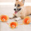 Interactive Pet Toy with USB Rechargeable Smart Design and 5