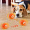 Interactive Pet Toy with USB Rechargeable Smart Design and 6