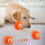 Interactive Pet Toy with USB Rechargeable Smart Design and 7
