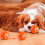 Interactive Pet Toy with USB Rechargeable Smart Design and 8