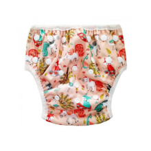 Reusable Absorbent Swim Diaper for Babies and Toddlers