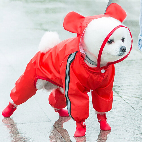 Dog Raincoat Waterproof Windproof Reflective M 2