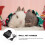 Bunny Harness Breathable Mesh Black Lightweight Small Pet 3