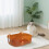 Cat Litter Box Spill-Proof One-Piece Tray Sturdy Plastic 6
