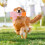Dog Chew Toy Duck Design for Large Medium Small Dogs 6