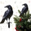 AuroraX Black Halloween Ornament Ravens Vintage Plastic 1