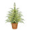 Pre-Lit Green Cypress Tabletop Christmas Tree with Warm 1