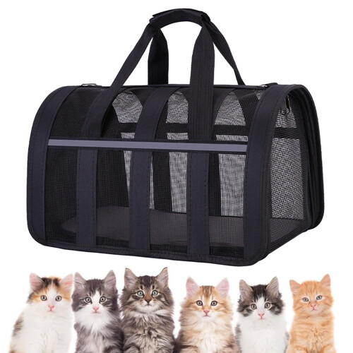 Soft-sided collapsible pet carrier black M for cats and