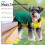 Dog Coats Windproof Reflective Warm for Small Medium Dogs 7