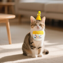 Pet Birthday Hat and Scarf Set Small Dog Cat