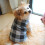 Warm Dog Sweater for Small and Medium Dogs 1 Pack 7