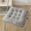 Dining Chair Mat Velvet Double-Sided 1 pcs 6