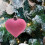 Heart Ornaments Red Pink White 24 Pieces 6