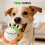 Active Moving Plush Pet Toy Squeaky Rechargeable Washable 7