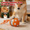 Interactive Dog Toy Ball with Random Path and Charging 4