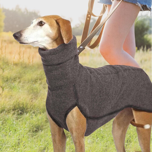Thermal Dog Winter Coat Wind-Resistant Soft Lining