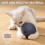 Interactive Cat Toy Ball with Plush Mouse 1pc 6