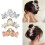 Butterfly Hair Claw Clip Acrylic 1 Piece 5