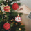 Red Sparkling Christmas Ball Set Plastic 12 pcs 2