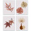 Fall Leaves Canvas Wall Art Set Minimalist 4 Pieces 1