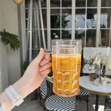 Plastic Beer Mug with Handle 420ml Leak-Proof Insulated