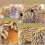Fuzzy Cartoon Dog Plush Hand Towel 3D Chenille 6