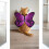 Butterfly Wing Costume Adjustable Lightweight Pet Cosplay 5