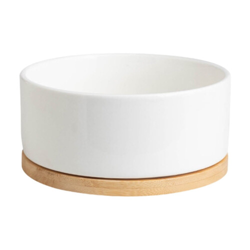USB Heated Thermostatic Pet Water Bowl Ceramic 1 pc