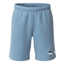 (13 Years, Blue) Puma Boys Fleece Logo Regular Shorts