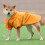 Dog Raincoat Hooded Waterproof Lightweight Reflective S 1