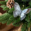 Glitter Butterfly Christmas Ornaments 3 pcs Silver 6